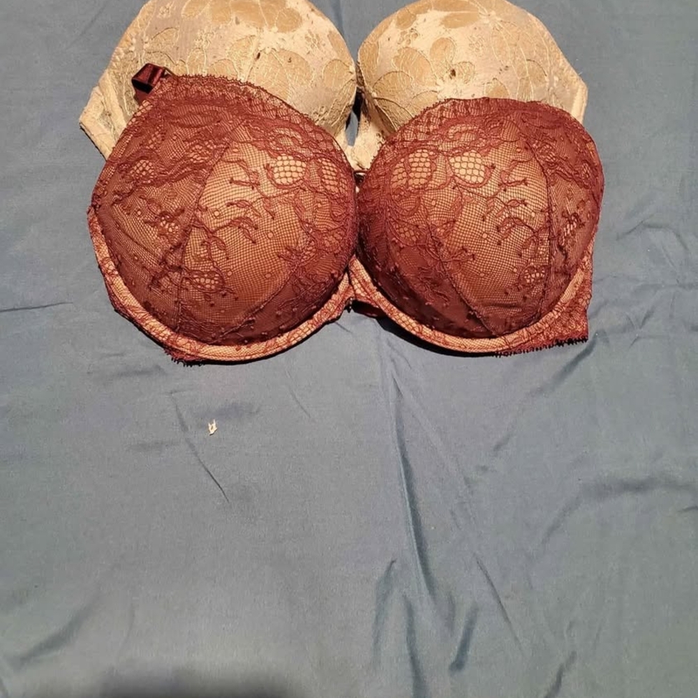 PINK Victoria's Secret Lace Bra - Cream and Brown